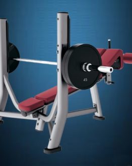 Decline Bench [Wide]