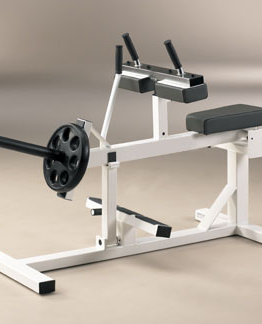 Seated Calf Machine