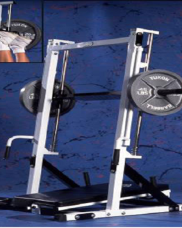 Vertical Leg press